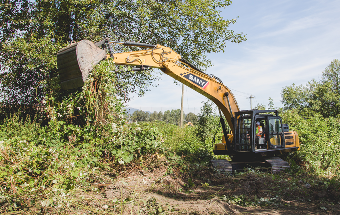 Excavator clearing and grubbing for site access into a creek to complete drainage improvements.