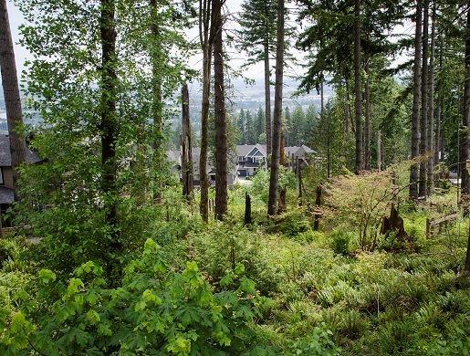 Houses in the wildland urban interface