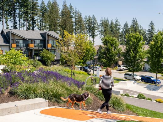 Person walking dog on a leash through a neighbourhood park with housing in the background