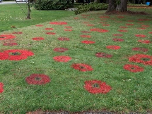 Remembrance Day 2020