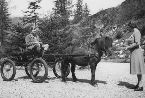 Eric Hamber with horse and buggy at Minnekhada (City of Vancouver Archives, CVA 703-5.17.116)