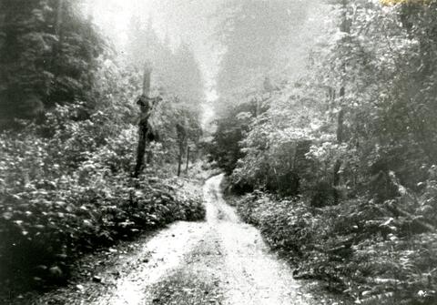 Quarry Road, 1942