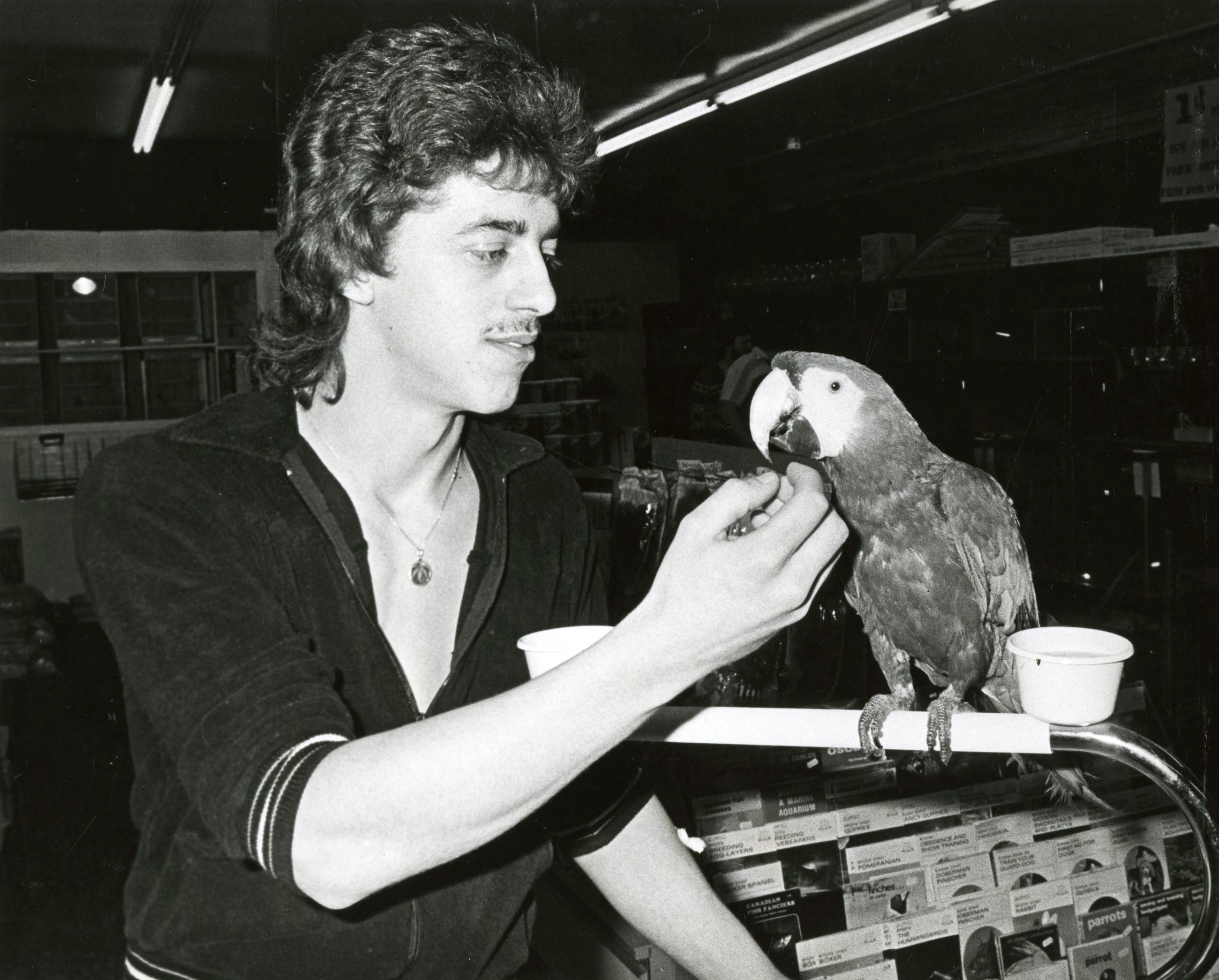 Fin and Feathers (Enterprise Newspaper fonds F6.081)