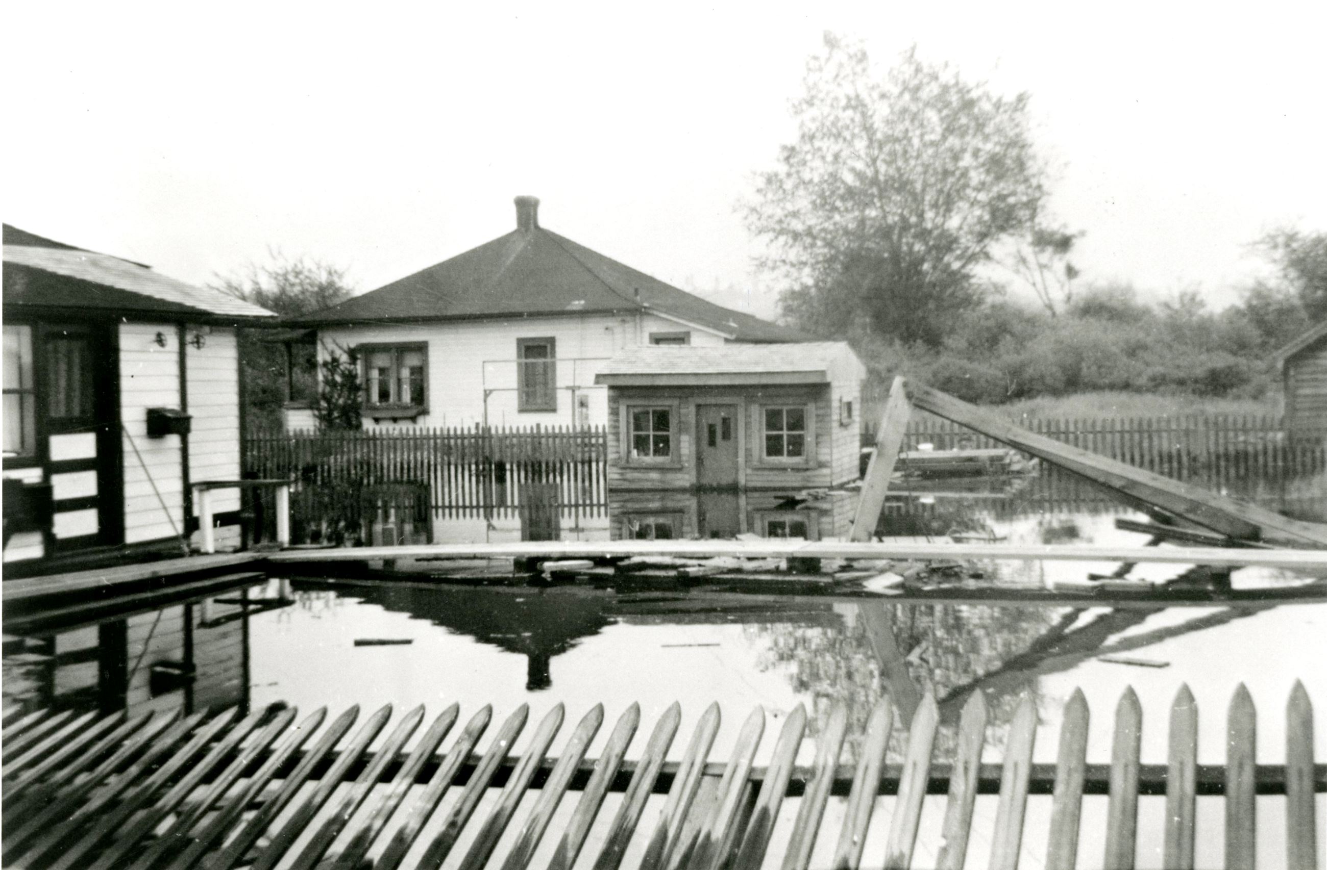 Flooded houses at the Fraser Mills Townsite, 1948 (Source City of Coquitlam Archives, C6.1035)_ Opens in new window